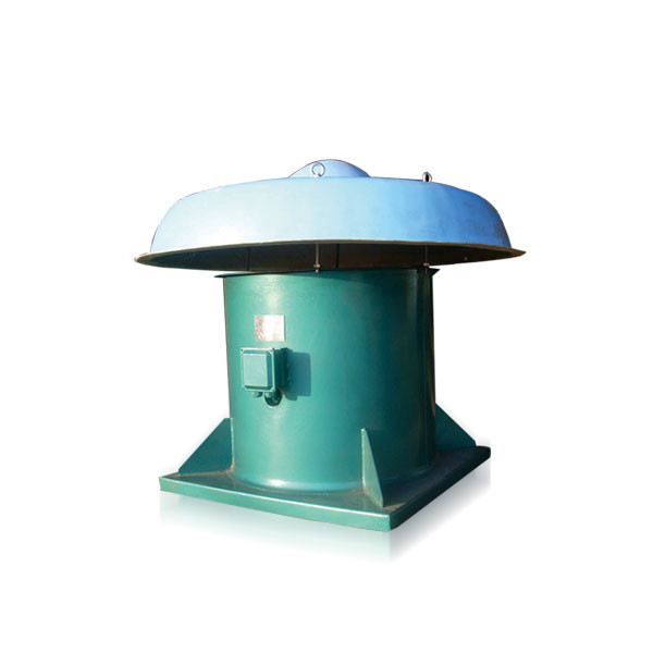 DWT屋頂風(fēng)機(jī)